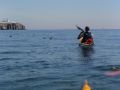 DSC00712.JPG