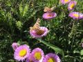 IMG-20190626-WA0001.jpg