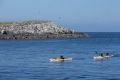 IMG-20190629-WA0008.jpg