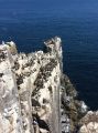 IMG_1810.JPG
