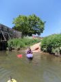 DSC00499.JPG