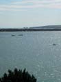 060827-1228-DP1-IMGP0114