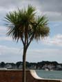 060827-1345-DP2-PICT2947