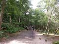 060827-1404-DP2-PICT2961