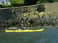 ANotLundy02