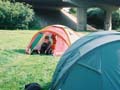 OrtonMere-15