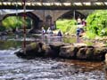 IMGP0545