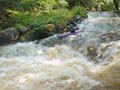 09-Tryweryn0804