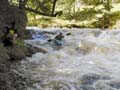 15-Tryweryn0804
