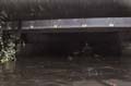 PB150042