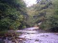 IMGP0963